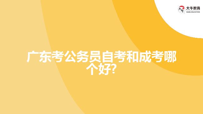 广东考公务员自考和成考哪个好?