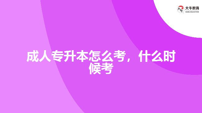 成人专升本怎么考，什么时候考