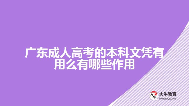 广东成人高考的本科文凭有用么有哪些作用