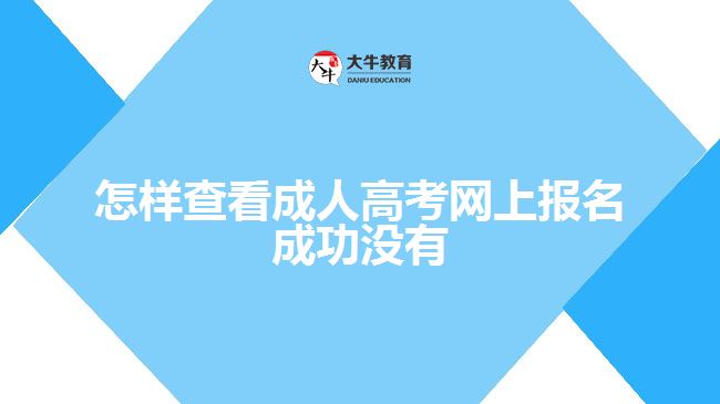 怎样查看成人高考网上报名成功没有