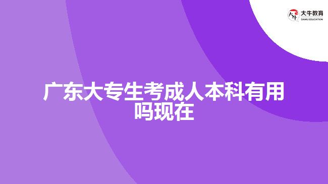 广东大专生考成人本科有用吗现在