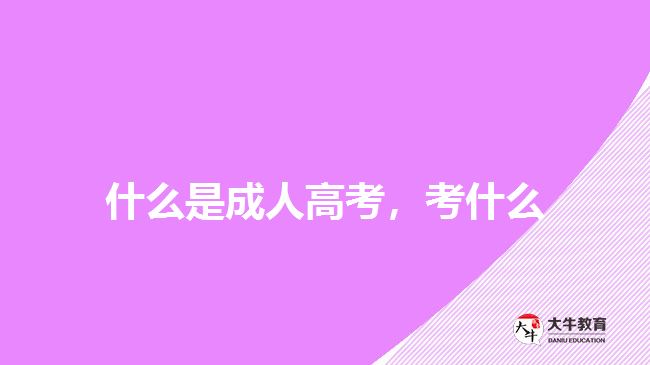 什么是成人高考，考什么