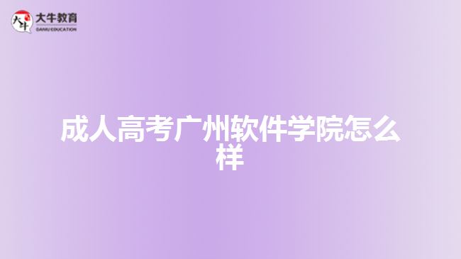 成人高考广州软件学院怎么样