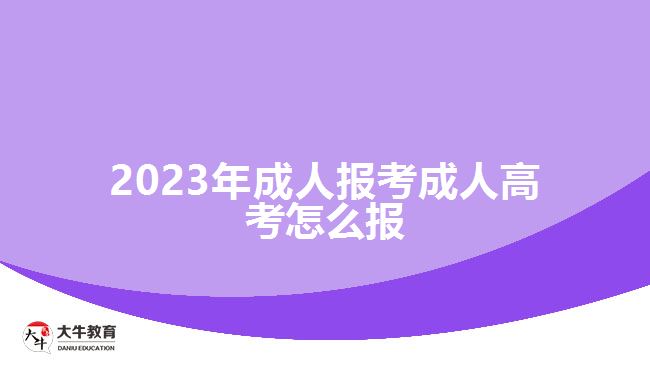 2023年成人报考成人高考怎么报