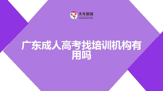 广东成人高考找培训机构有用吗