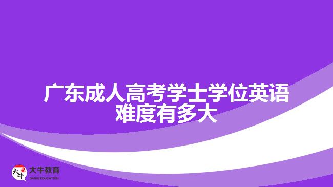 广东成人高考学士学位英语难度有多大