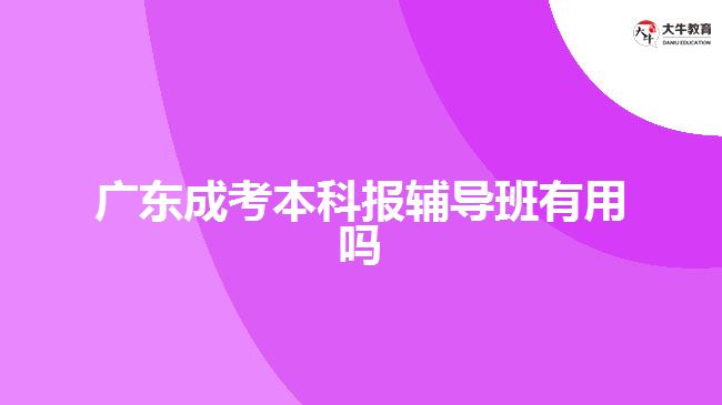 广东成考本科报辅导班有用吗