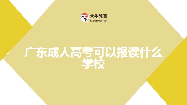 广东成人高考可以报读什么学校