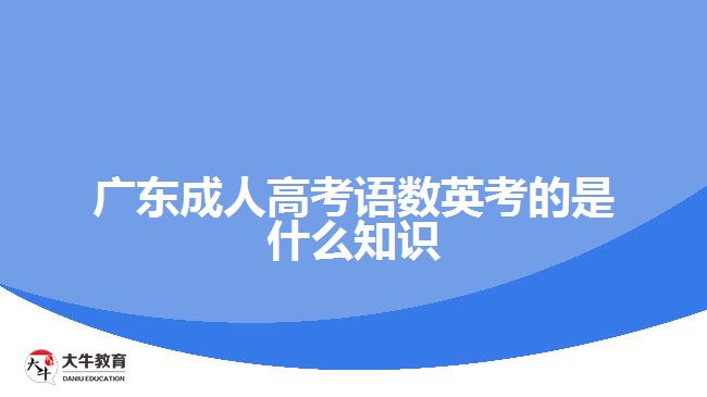 广东成人高考语数英考的是什么知识