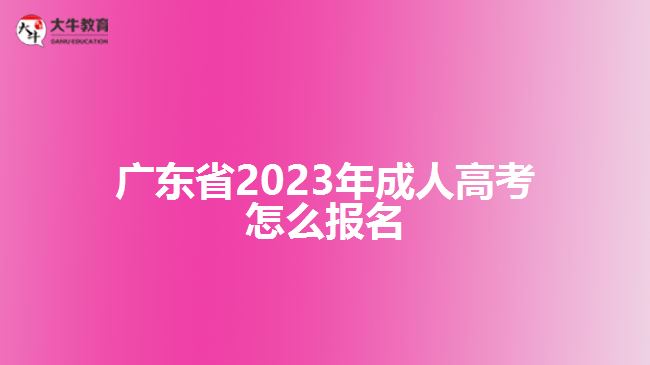 广东省2023年成人高考怎么报名