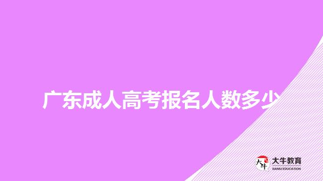 广东成人高考报名人数多少