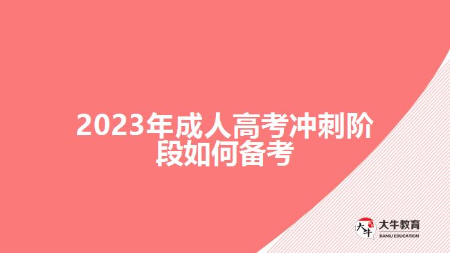 2023年成人高考冲刺阶段如何备考