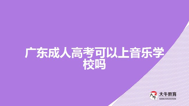 广东成人高考可以上音乐学校吗