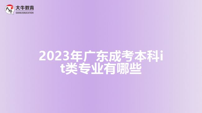 2023年广东成考本科it类专业有哪些