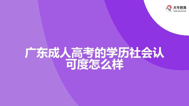 广东成人高考的学历社会认可度怎么样