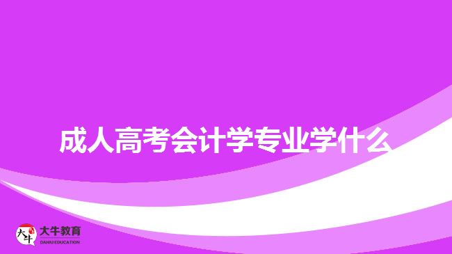 成人高考会计学专业学什么