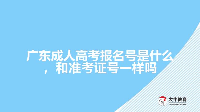 广东成人高考报名号是什么，和准考证号一样吗