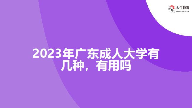 2023年广东成人大学有几种，有用吗