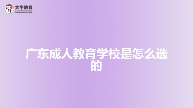 广东成人教育学校是怎么选的