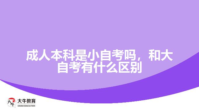 成人本科是小自考吗，和大自考有什么区别