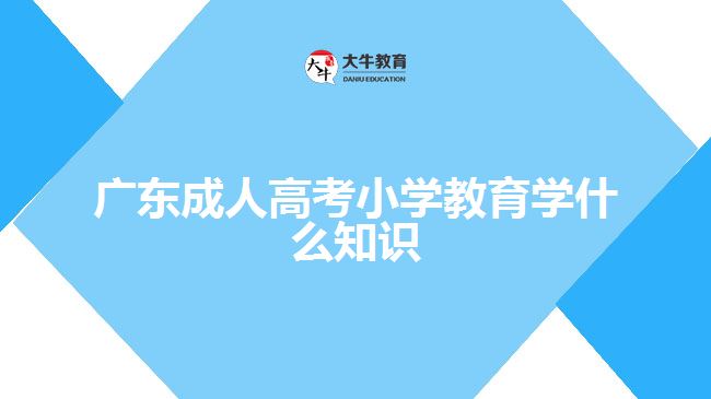 广东成人高考小学教育学什么知识