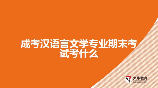 成考汉语言文学专业期末考试考什么