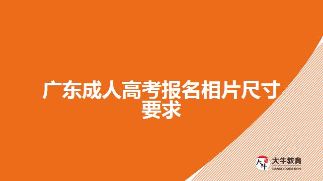 广东成人高考报名相片尺寸要求