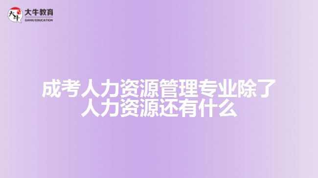 成考人力资源管理专业除了人力资源还有什么