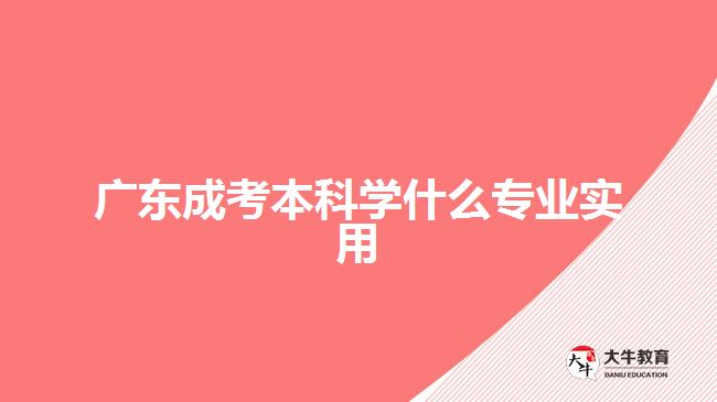 广东成考本科学什么专业实用