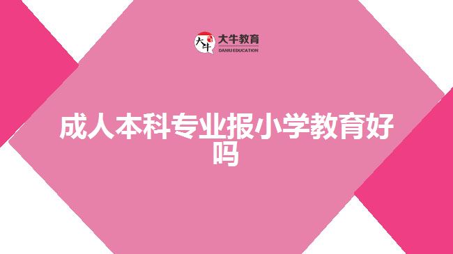 成人本科专业报小学教育好吗