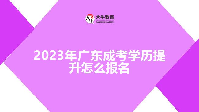 2023年广东成考学历提升怎么报名