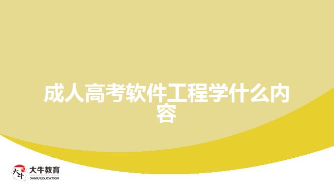 成人高考软件工程学什么内容