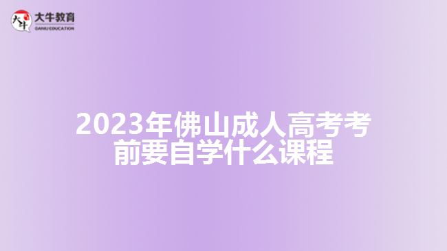 2023年佛山成人高考考前要自学什么课程