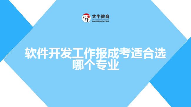 软件开发工作报成考适合选哪个专业