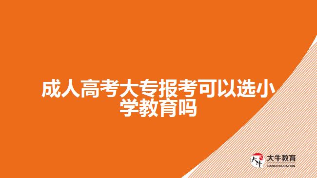 成人高考大专报考可以选小学教育吗