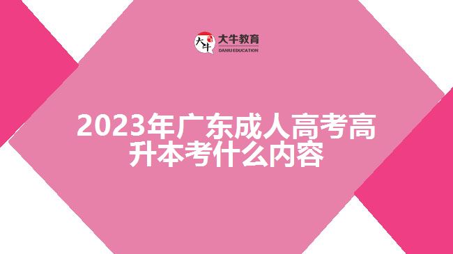 2023年广东成人高考高升本考什么内容