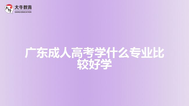 广东成人高考学什么专业比较好学