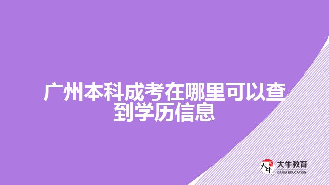 广州本科成考在哪里可以查到学历信息