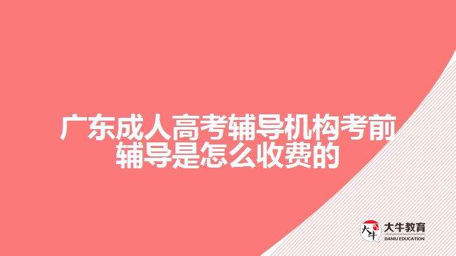 广东成人高考辅导机构考前辅导是怎么收费的