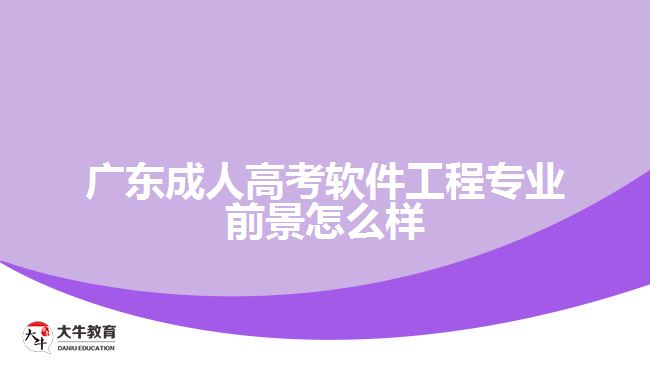 广东成人高考软件工程专业前景怎么样