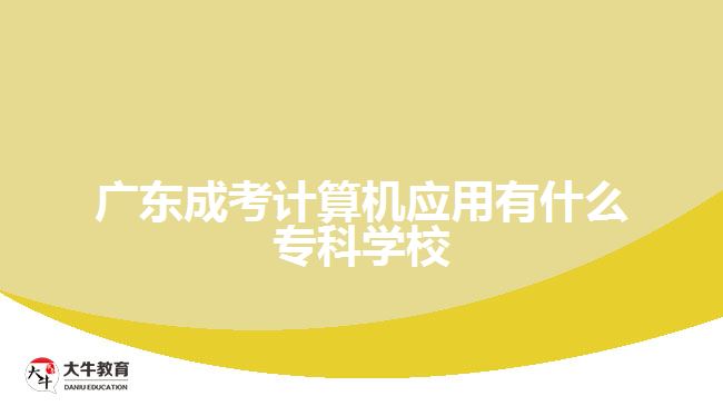 广东成考计算机应用有什么专科学校
