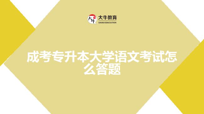 成考专升本大学语文考试怎么答题